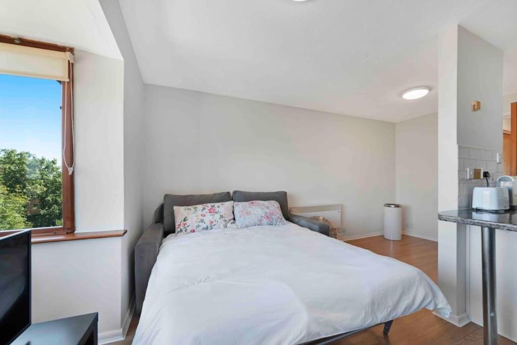 Appartement N.acton Quiet Cosy 1 Bed-private Free Parking Londen